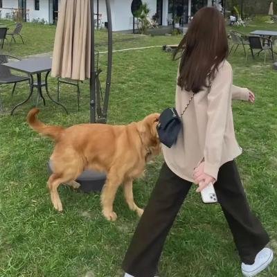 夺命解码